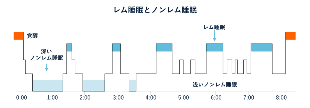 ビタミンCを夕食後に飲むと成長ホルモンの働きをかっせ化することを示すグラフの画像
